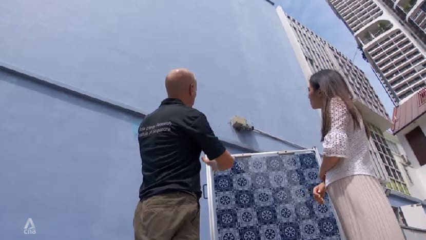 Aesthetically pleasing solar panels in the spotlight as demand for solar fittings rise Aesthetically pleasing solar panels in the spotlight as demand for solar fittings rise