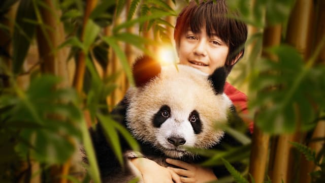 新片上映：Moon The Panda