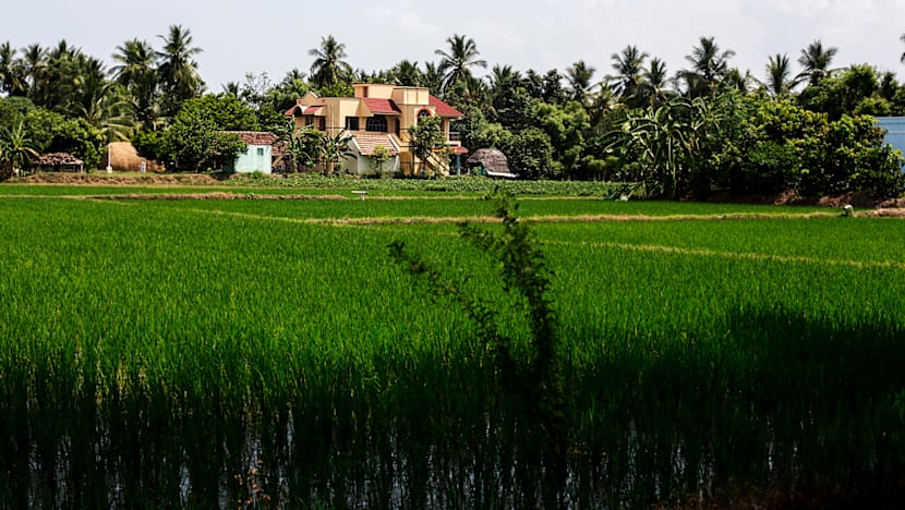 ‘Singapore craze’ in a Tamil Nadu village