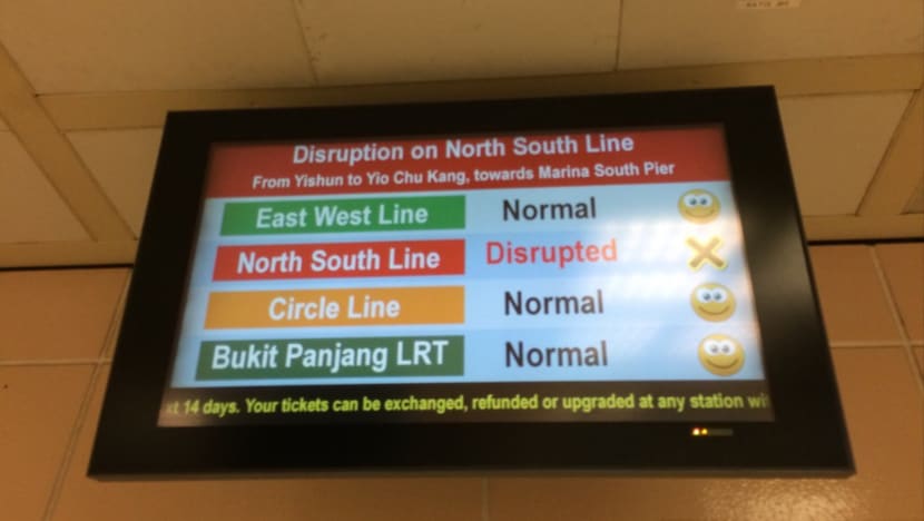 Lightning strike possible cause of North-South Line disruption
