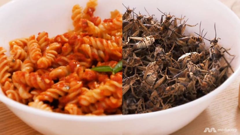 Crickets, algae, soya discard — 3 foods of the future, made in Singapore