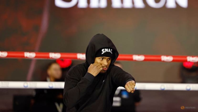 Stevenson outpoints Lopez to become a four-division world champion