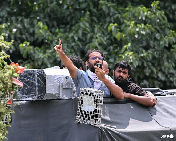 India activists demand release of detained 'cockroach' protesters