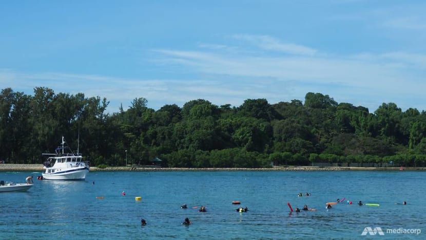 43-year-old man found dead on Lazarus Island after suspected drowning 43-year-old man found dead on Lazarus Island after suspected drowning