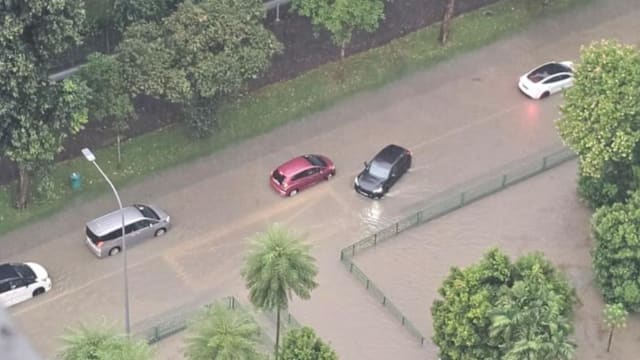 理解问答：强降雨导致全岛多个地区淹水