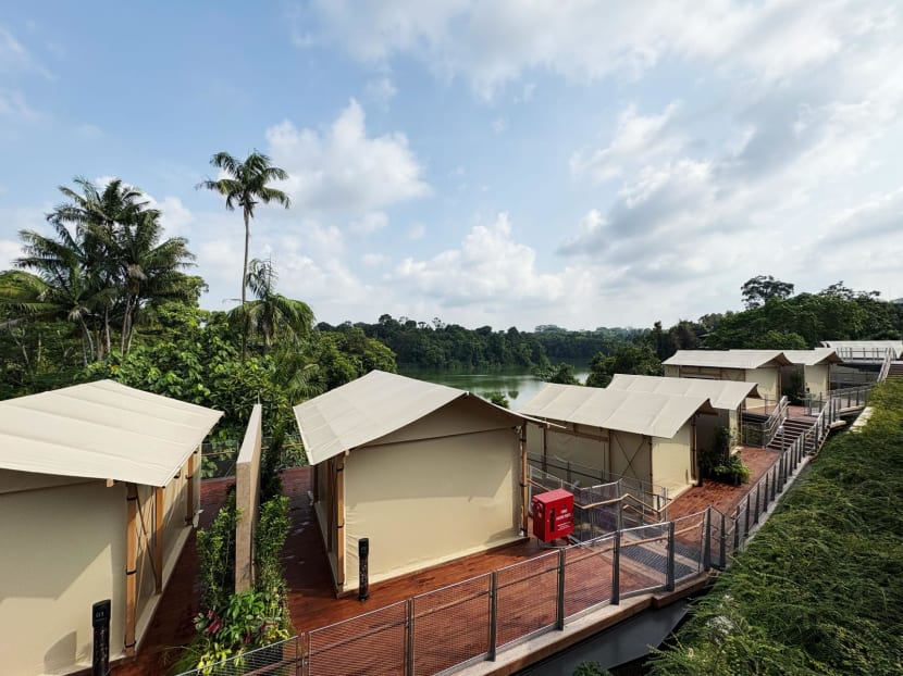 Mandai Wildlife Reserve launches Colugo Camp, a luxury camping space with buffets and guided tours 