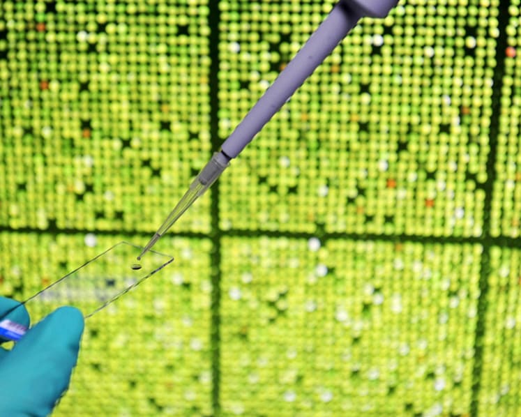 Commentary: Deeper discussion needed over ethical issues in use of big data and AI for IVF treatment