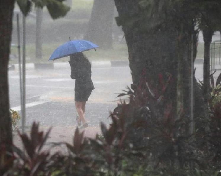 With climate change making weather more extreme, people need to adjust plans according to forecasts: Grace Fu