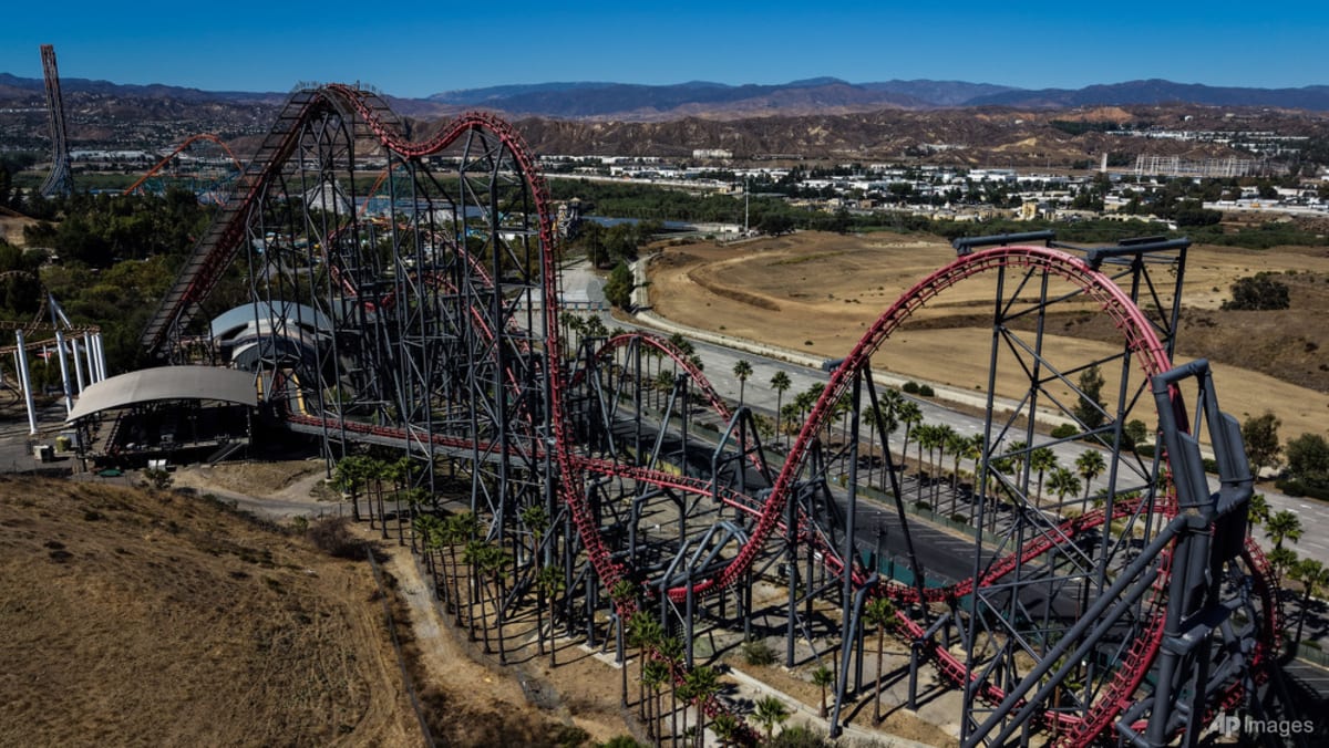 California roller coaster shut after brain damage claims - CNA