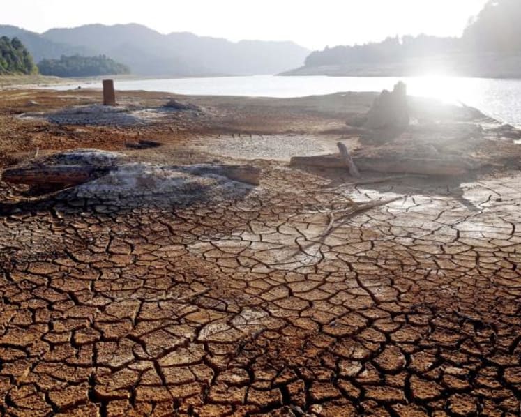 'Significant risk' of Johor’s Linggiu Reservoir drying out this year: Vivian