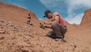 Bones of Contention - Tracking The Dinosaur Black Market