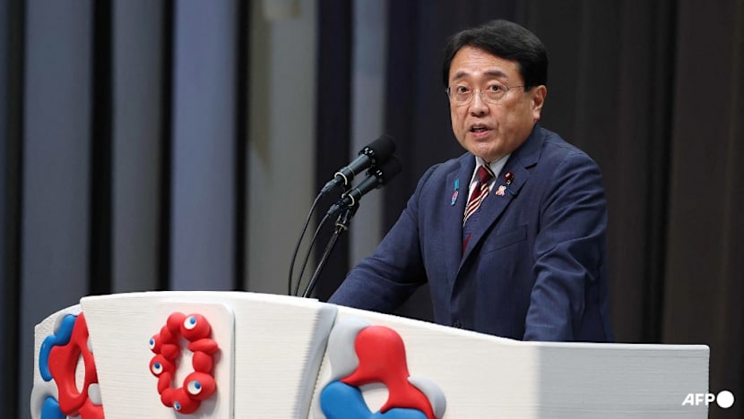 Japan says 'significant gaps' with US in trade package talks