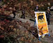 Japan grapples with growing bear threat amid record number of attacks