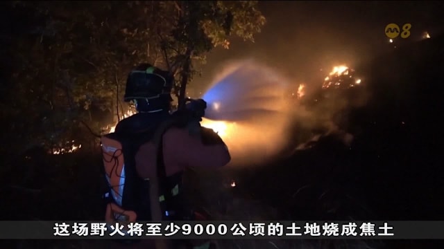 高温助长林火蔓延 法国西班牙数百人撤离