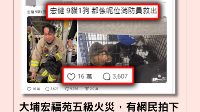 香港消防员火场救出九猫一狗 网赞：不放弃每个生命