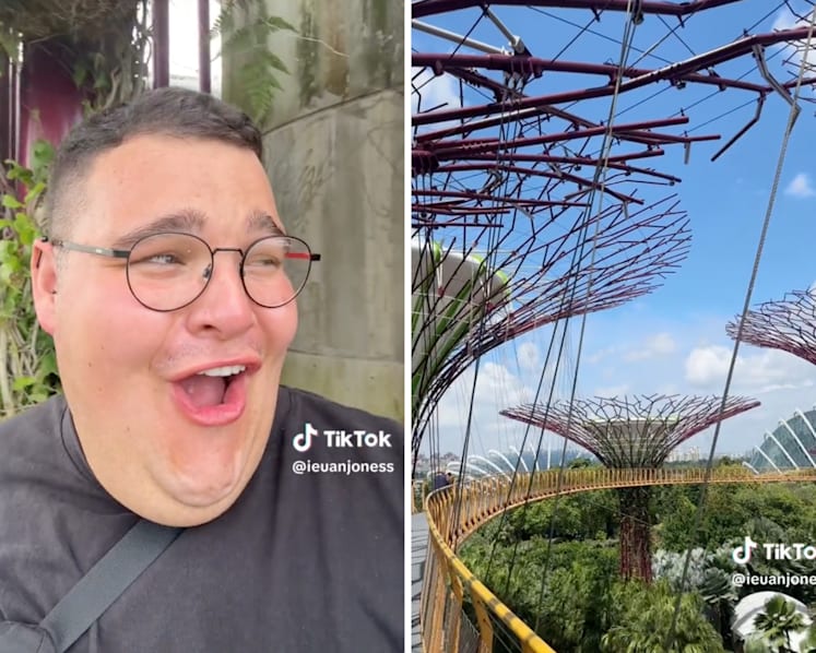 #trending: 'I could cry' — UK tourist gushes over visit to Gardens by the Bay, charms S'poreans with his enthusiasm
