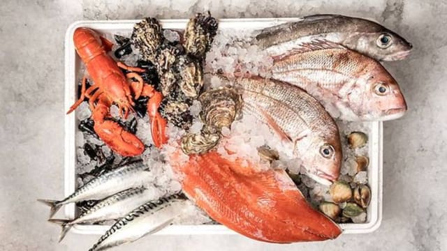 食品局推出水生动物健康服务 助业者预防水生动物患疾病