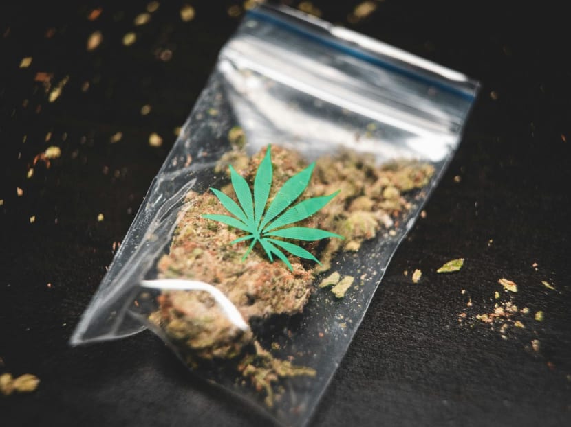 A packet of dried cannabis. A packet of dried cannabis.