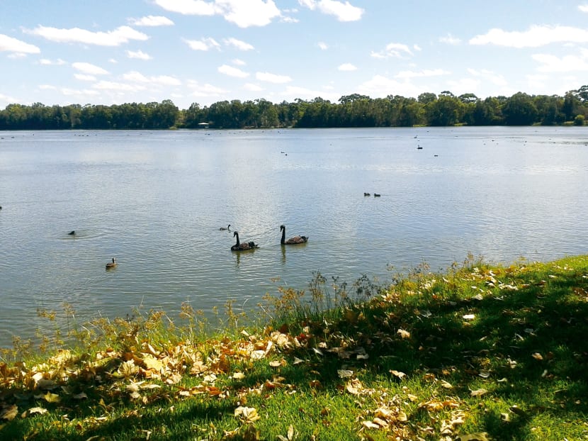 Five highlights of Western Australia