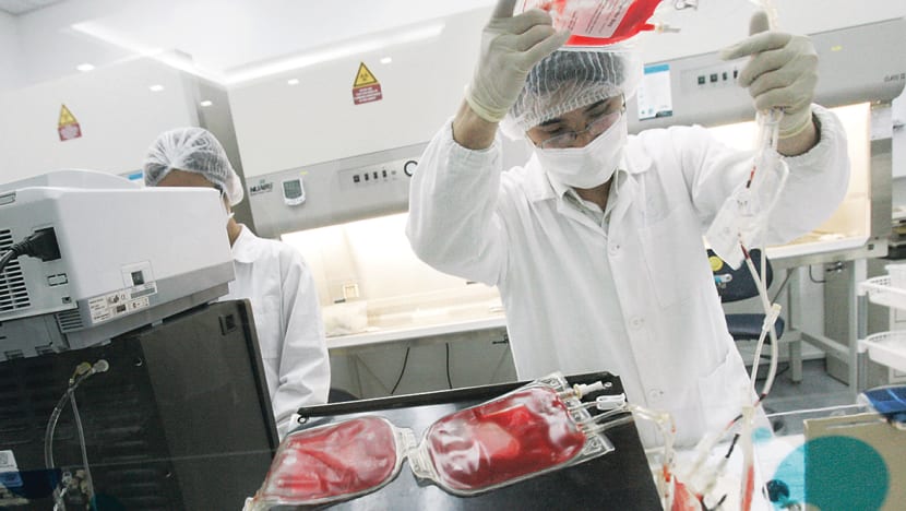 Cordlife probe to take another 6 weeks; MOH set to take 'regulatory and enforcement actions' depending on outcome: Ong Ye Kung