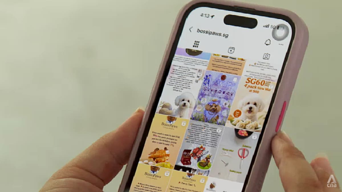 Pet food business Bossipaws under police probe over alleged SkillsFuture scam