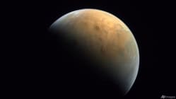 Related article image