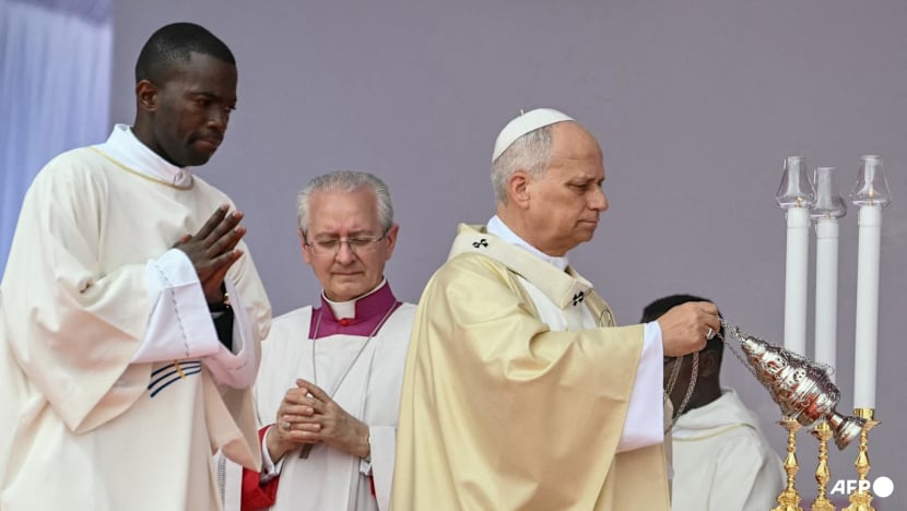 Thousands gather for Pope Leo's first mass in Angola