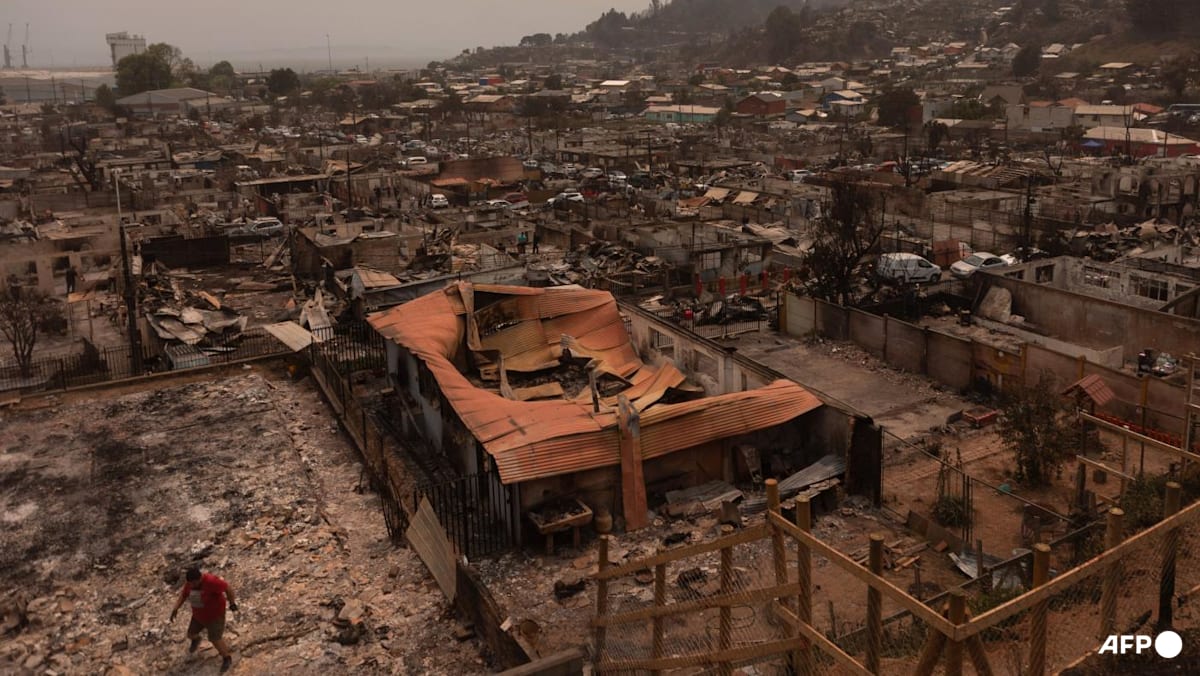 Chile wildfires rage for third day, entire towns wiped out