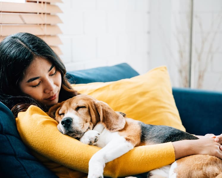 Should you still snuggle your pet when you're sick? Can your pet pass its sniffles to you?