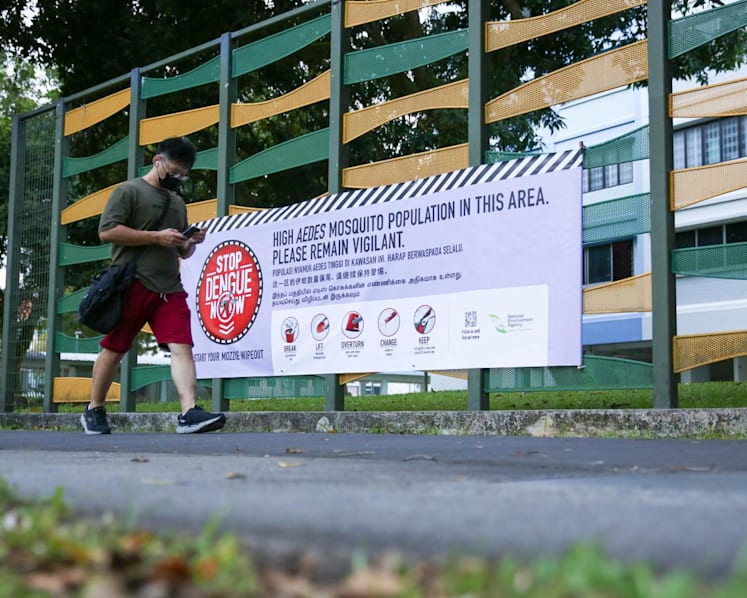 Weekly dengue case numbers still high despite fall from May peak; annual total set to reach close to 2020 record