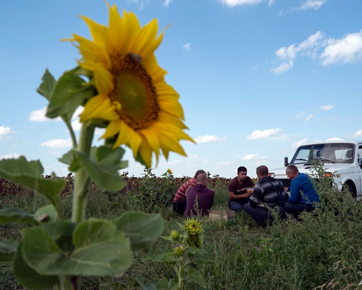Front line farming: Bombs disrupt critical Ukraine industry
