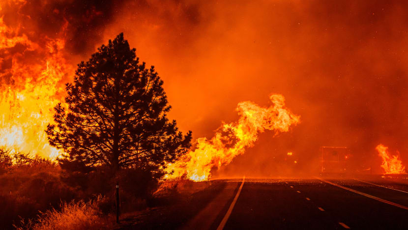 Kebakaran taman California disifatkan sebagai kebakaran hutan terbesar di Amerika Kebakaran taman California disifatkan sebagai kebakaran hutan terbesar di Amerika