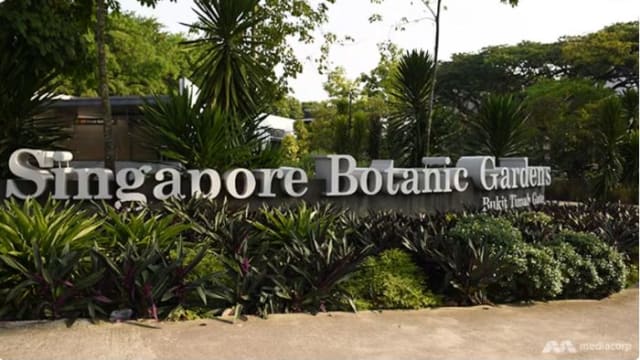 植物园开展最大数码化项目 把80万份植物和真菌标本数码化