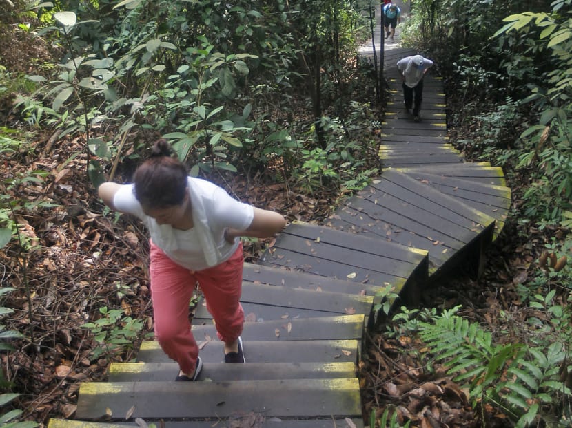 A sense of sadness, concern with looming closure of Bukit Timah Nature Reserve