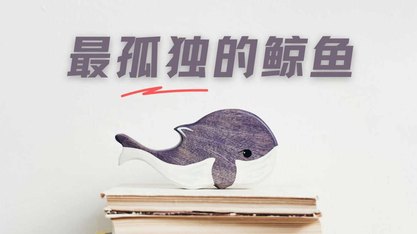 城市呼吸｜彭菲菲】52赫兹——深海孤独鲸鱼的浪漫- 8world