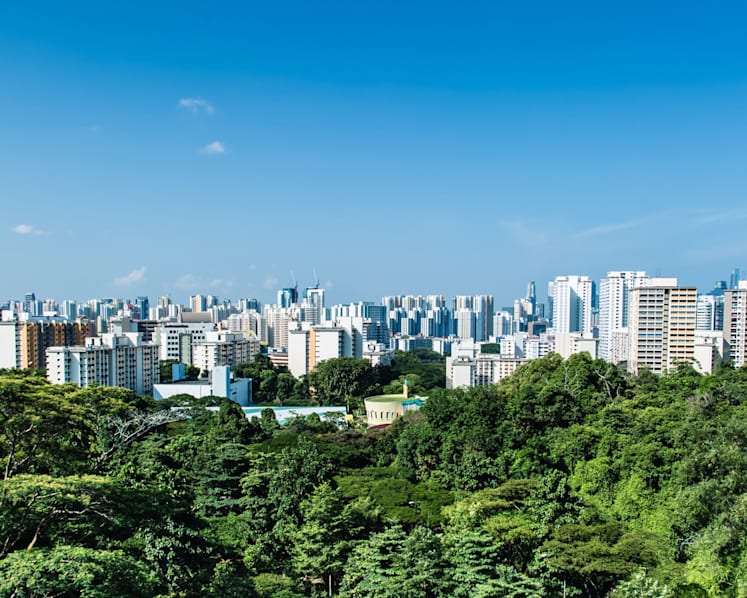 Is there a trade-off between economic progress and going green? Singapore offers some clues