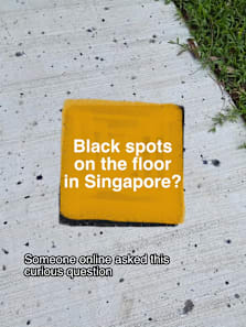 black spots in your area #8dayssg #8dayssgtrending #sgfyp #sgtiktok #sg 
