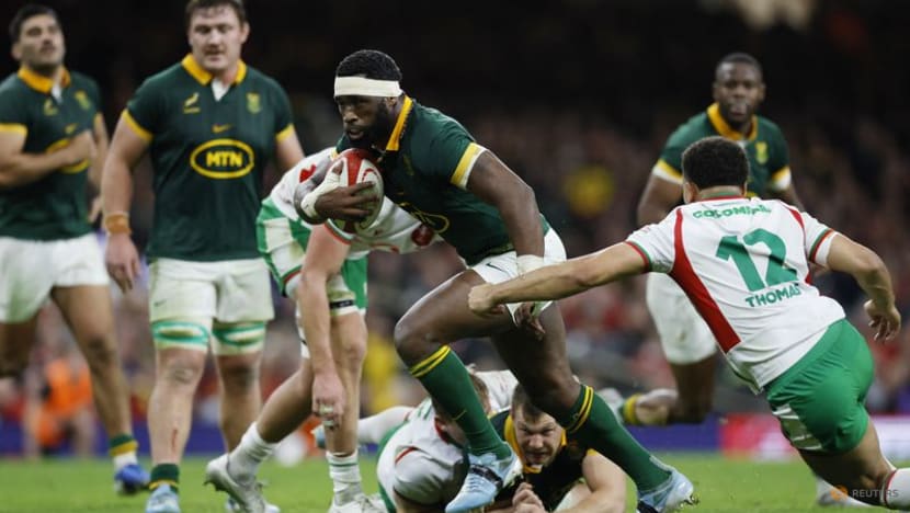 Springboks extend Wales's record losing run with 45-12 victory Springboks extend Wales's record losing run with 45-12 victory