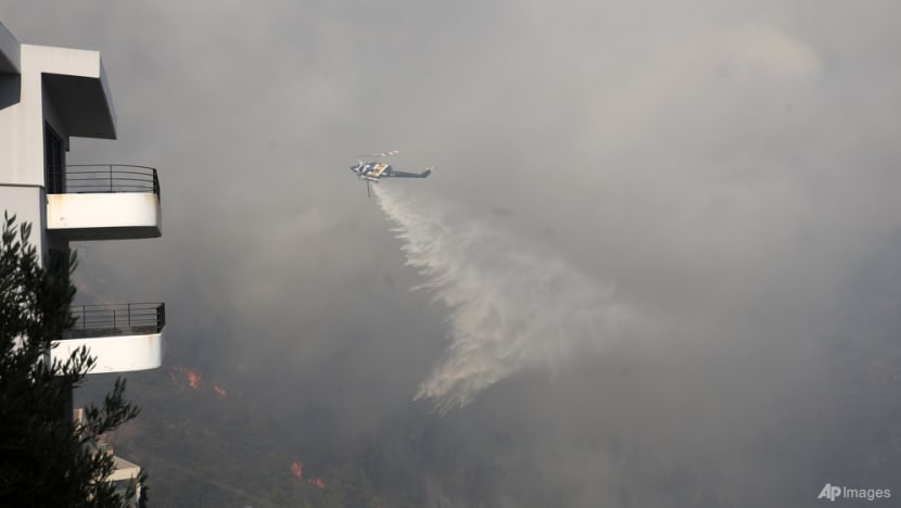 Greek firefighters battle blaze near Athens for second day