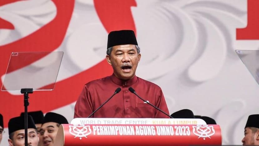 Success of Malaysia's unity government crucial for UMNO's survival, says party's deputy president