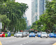 COE premiums all close lower in latest bidding exercise