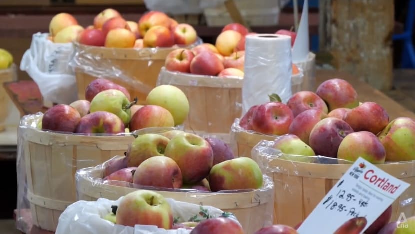 New York apple farms face downpour of challenges as climate change threatens billion-dollar industry New York apple farms face downpour of challenges as climate change threatens billion-dollar industry