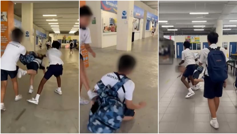 Montfort school fight: MOE may put out facts if 'one-sided story' posted online, says Maliki Montfort school fight: MOE may put out facts if 'one-sided story' posted online, says Maliki