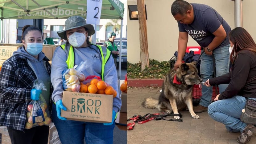 Feeding residents, caring for pets: How Californians are chipping in to help amid deadly wildfires