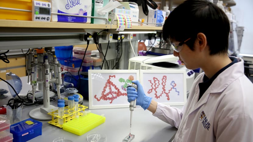 No more weeks of anxious waiting: Two-hour cancer testing in the pipeline at NUS