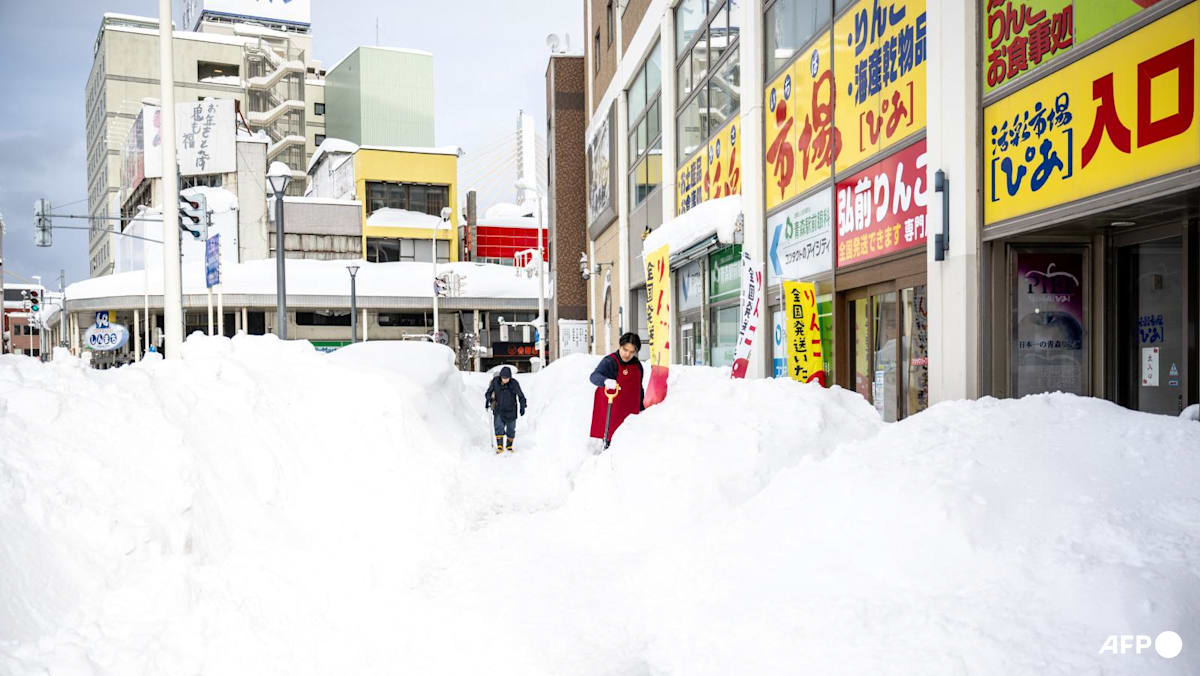 Japan Snow Deaths: 30 Killed in Heavy Snowfall - February 2024 - News Directory 3