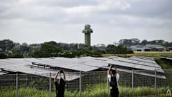 Related article image