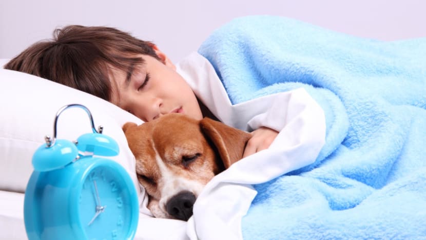Sharing bed with dog cheap