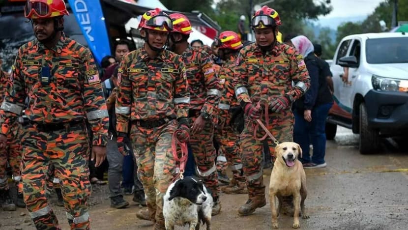 Anggota bomba tidak putus semangat cari mangsa hilang di tapak tanah runtuh