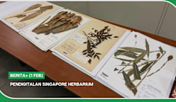 BERITA+ (1 Feb) | Pendigitalan Singapore Herbarium